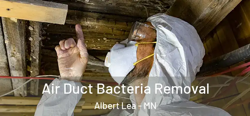  Air Duct Bacteria Removal Albert Lea - MN