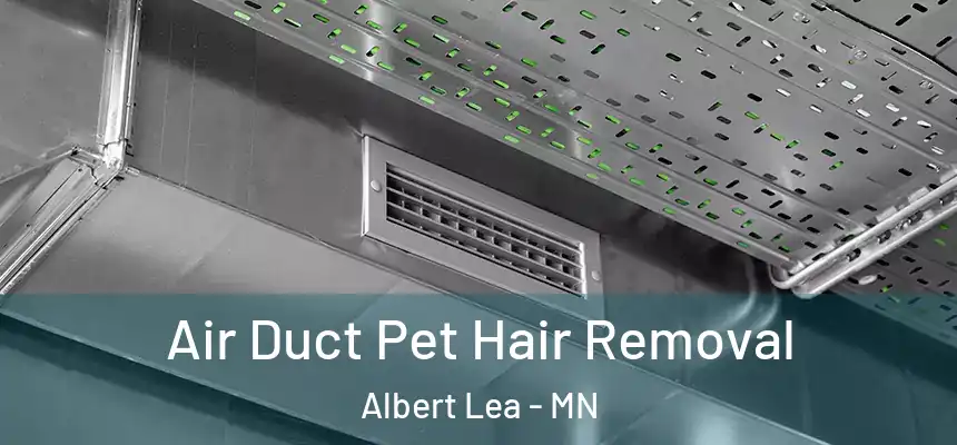  Air Duct Pet Hair Removal Albert Lea - MN