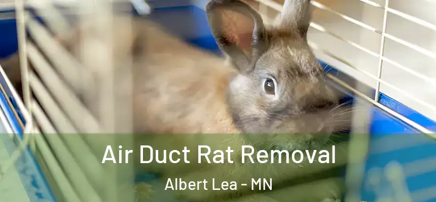  Air Duct Rat Removal Albert Lea - MN