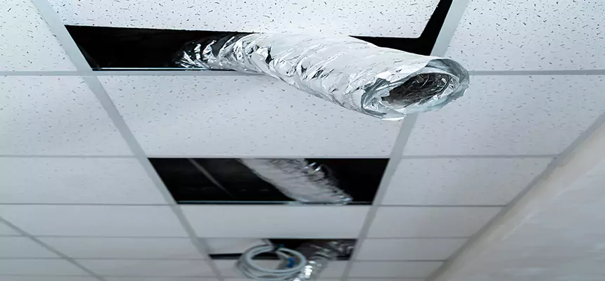 Our Air Duct Pet Hair Removal Services in Albert Lea, MN