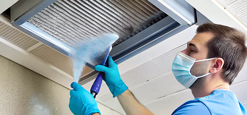 Proactive Dryer Vent & Auxiliary Duct Pollen Cleanup in Albert Lea, MN
