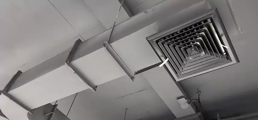 Restorative Allergy Relief Vent Cleaning – Coil, Blower & Housing Detail in Albert Lea