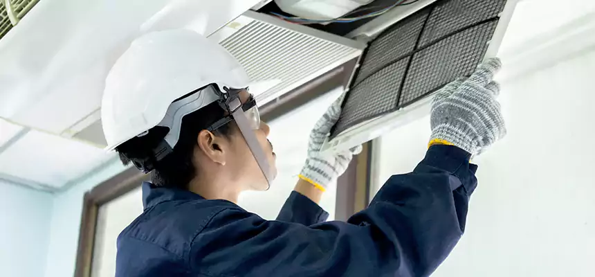 Our Mold & Mildew Removal from Air Ducts Services in Albert Lea, MN