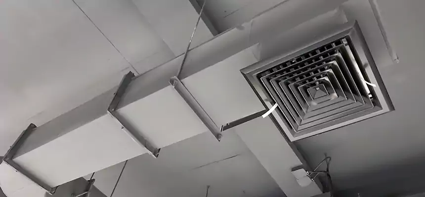 Our Pest Removal From Ducts Services in Albert Lea, MN