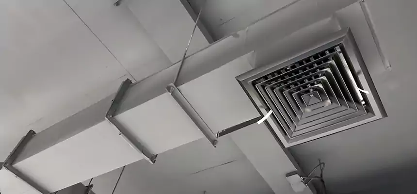 Our Rodent Droppings In Vents Services in Albert Lea, MN