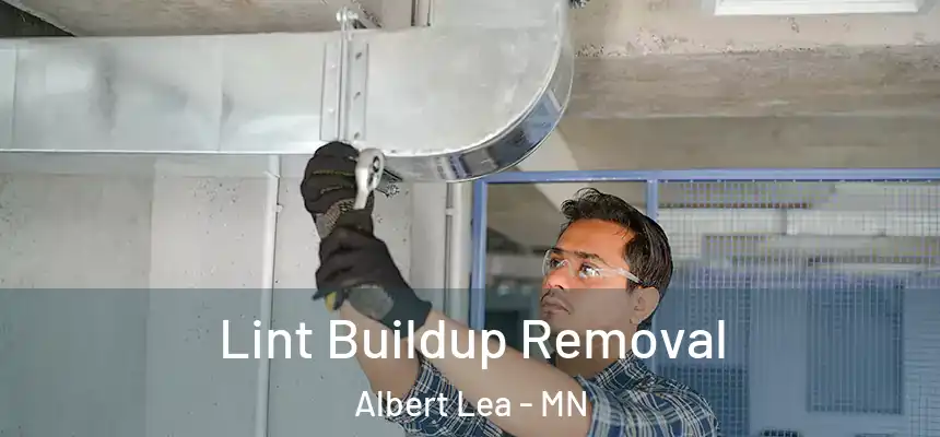  Lint Buildup Removal Albert Lea - MN