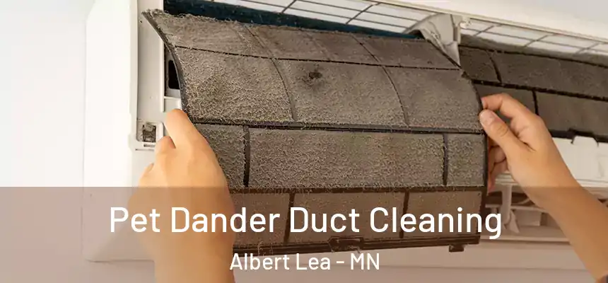  Pet Dander Duct Cleaning Albert Lea - MN