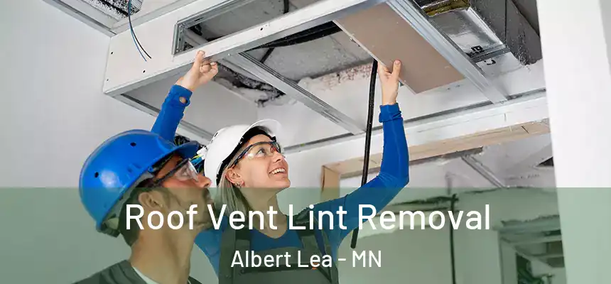  Roof Vent Lint Removal Albert Lea - MN