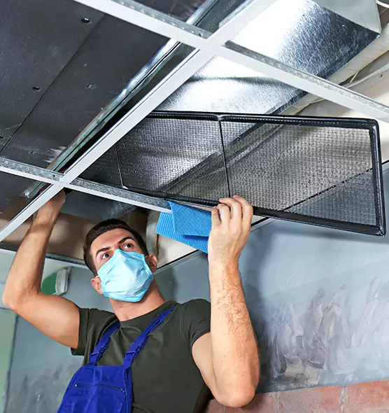 About Air Duct Bacteria Removal in Albert Lea