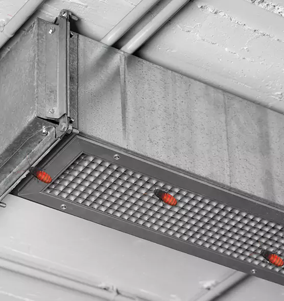 About Air Duct Cockroach Removal in Albert Lea, MN