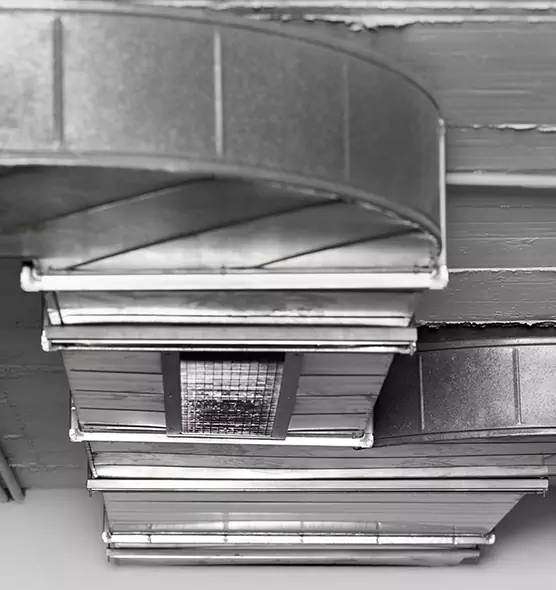 Professional Air Duct Pest Removal in Albert Lea, MN