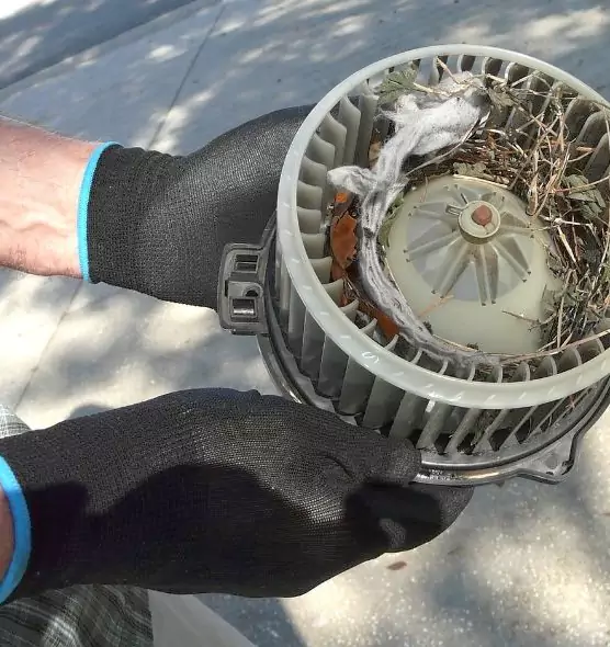 About Air Duct Rat Removal in Albert Lea, MN