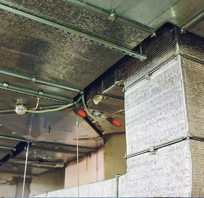 Why Homeowners & Businesses Trust Us in Albert Lea, MN?