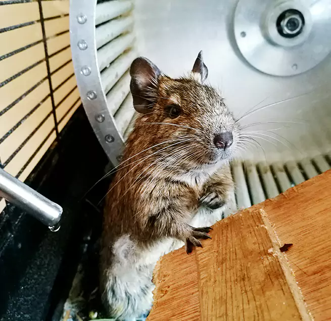 Why Homeowners & Businesses Trust Us Albert Lea, MN?