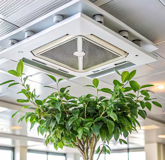 Why Homeowners & Businesses Trust Us in Albert Lea, MN